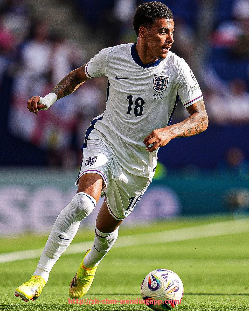 问鼎娱乐官网-法甲转会至英超球员猝死事件回顾与调查