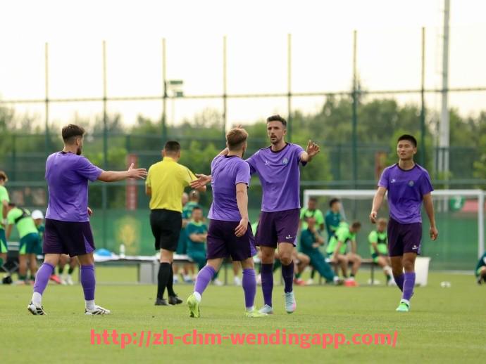 问鼎娱乐官网-德甲球队命名规则大全及背后文化故事