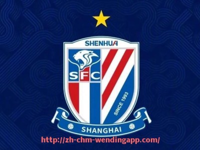 问鼎娱乐官网-2001年西甲积分榜及联赛球队成绩回顾