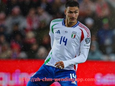 问鼎娱乐官网-德甲球队营收排名最新报告，俱乐部经济实力一览